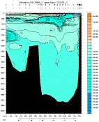 SALINITY PLOT