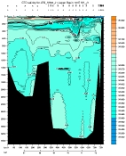 CTD SALINITY PLOT, entire section
