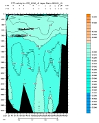 CTD SALINITY PLOT, entire section