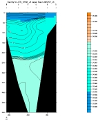 SALINITY PLOT