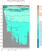 SALINITY PLOT