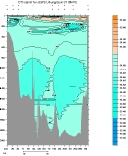 SALINITY PLOT