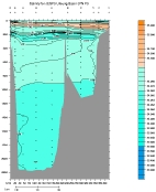 SALINITY PLOT