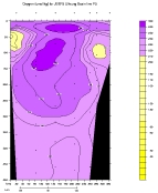 OXYGEN PLOT