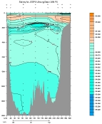 SALINITY PLOT