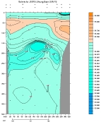 SALINITY PLOT