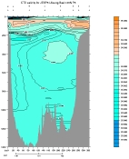 SALINITY PLOT